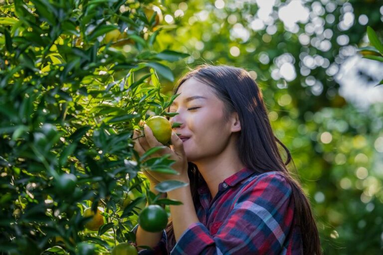 Person smelling fruit, practice mindfulness in the garden.