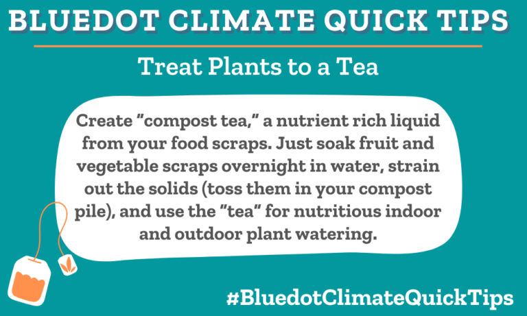 Climate Quick Tip: Treat Plants to a Tea Create “compost tea,” a nutrient rich liquid from your food scraps. Just soak fruit and vegetable scraps overnight in water, strain out the solids (toss them in your compost pile), and use the “tea” for nutritious indoor and outdoor plant watering. Fruit and veggie compost soaked in water makes a nutritious solution for plant food. Want more compost tips?