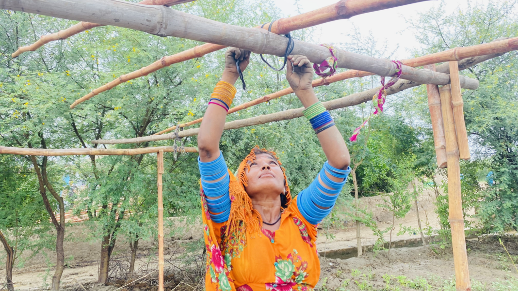 A woman constructing a shelter from wood.