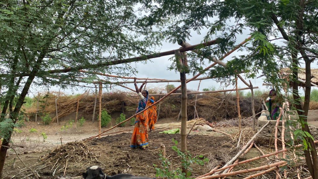 Women constructing a shelter for cattle.